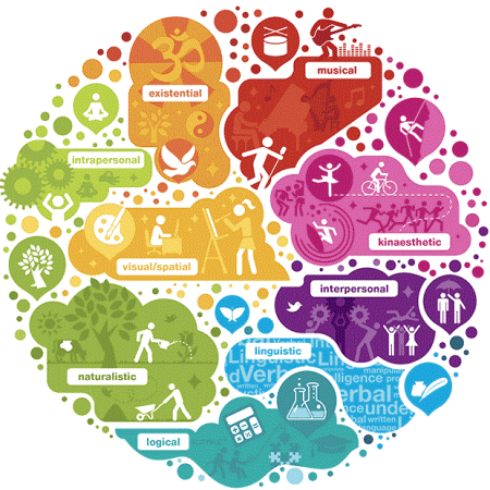 تست هوش چندگانه گاردنر